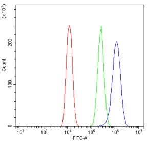 Flow cytometry testing of human U-2 OS cells with RPL19 antibody at 1ug/10^6 cells (blocked with goat sera); Red=cells alone, Green=isotype control, Blue= RPL19 antibody.