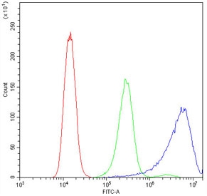 Flow cytometry testing of human A431 cells with Calpastatin antibody at 1ug/10^6 cells (blocked with goat sera); Red=cells alone, Green=isotype control, Blue=Calpastatin antibody.