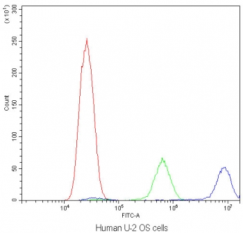 Flow cytometry testing of human U-2 OS cells with Calpastatin antibody at 1ug/10^6 cells (blocked with goat sera); Red=cells alone, Green=isotype control, Blue=Calpastatin antibody.