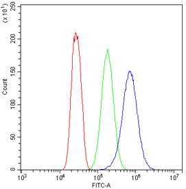 Flow cytometry testing of human SiHa cells with Fibrinogen gamma antibody at 1ug/10^6 cells (blocked with goat sera); Red=cells alone, Green=isotype control, Blue= Fibrinogen gamma antibody.