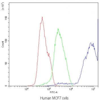 DBI Antibody MCF7 FACS. Flow cytometry analysis of human MCF7 cells using DBI antibody demonstrates a strong rightward shift in fluorescence intensity compared to the isotype control, consistent with detection of DBI / Diazepam binding inhibitor, a lipid-binding protein involved in acyl-CoA metabolism and neurosteroid-associated signaling pathways; red histogram represents cells alone, green histogram represents isotype control, and blue histogram represents DBI antibody staining.