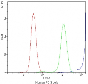 DBI Antibody PC-3 FACS. Flow cytometry analysis of human PC-3 cells using DBI antibody demonstrates a pronounced rightward shift in fluorescence intensity relative to the isotype control, consistent with detection of DBI / Diazepam binding inhibitor, an acyl-CoA-binding protein involved in intracellular lipid metabolism and neurosteroid-associated signaling pathways; red histogram represents cells alone, green histogram represents isotype control, and blue histogram represents DBI antibody staining.