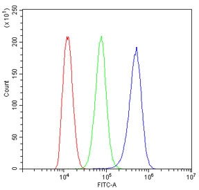 DBI Antibody THP-1 FACS. Flow cytometry analysis of human THP-1 cells using DBI antibody demonstrates a clear rightward shift in fluorescence intensity compared to the isotype control, consistent with detection of DBI / Diazepam binding inhibitor, a lipid-binding protein involved in acyl-CoA transport, metabolic regulation, and neurosteroid-associated signaling; red histogram represents cells alone, green histogram represents isotype control, and blue histogram represents DBI antibody staining.