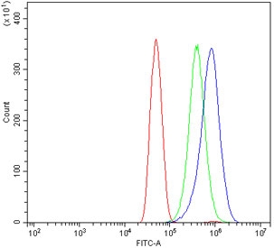 PLAP Antibody HeLa FACS. Flow cytometry analysis of human HeLa cells stained with PLAP Antibody demonstrates a distinct right-shifted fluorescence population relative to the isotype control, consistent with cell-associated expression of placental alkaline phosphatase / ALPP in epithelial-derived tumor cells. This germ cell tumor marker antibody supports detection of membrane-associated PLAP expression in transformed cellular populations. Red=cells alone, Green=isotype control, Blue=PLAP antibody.