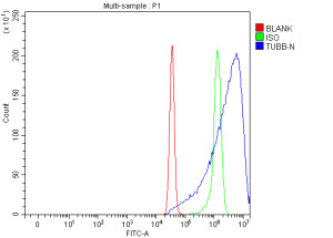 TUBB Antibody Human Cervical Cancer Cell Flow Cytometry. Flow cytometry analysis of fixed and permeabilized human SiHa cells was performed with TUBB Antibody at 1 ug/million cells for 30 minutes at 20oC. The histogram shows cells alone (red), isotype control (green) and TUBB Antibody staining (blue). A clear fluorescence shift is observed with the TUBB Antibody compared with the isotype control. This TUBB Antibody demonstrates intracellular detection of beta tubulin in human cervical cancer cells.