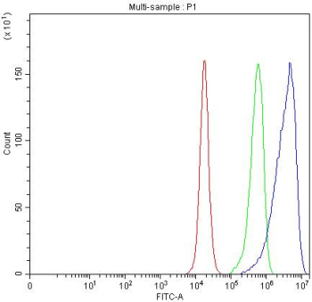 Flow cytometry testing of fixed and permeabilized human PC-3 cells with IRF9 antibody at 1ug/million cells (blocked with goat sera); Red=cells alone, Green=isotype control, Blue= IRF9 antibody.