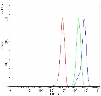 Flow cytometry testing of fixed and permeabilized human 293T cells with ST7 antibody at 1ug/million cells (blocked with goat sera); Red=cells alone, Green=isotype control, Blue= ST7 antibody.