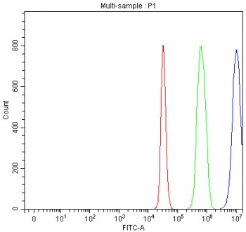 Flow cytometry testing of fixed and permeabilized rat C6 cells with hnRNP H antibody at 1ug/million cells (blocked with goat sera); Red=cells alone, Green=isotype control, Blue= hnRNP H antibody.