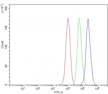 ARNTL Antibody Human MCF7 FACS. Flow cytometric analysis of fixed and permeabilized human MCF7 cells stained with ARNTL Antibody / Aryl Hydrocarbon Receptor Nuclear Translocator Like Antibody at 1 ug/million cells. Red: cells alone; Green: isotype control; Blue: ARNTL antibody. The clear rightward shift of the ARNTL antibody population demonstrates specific detection of endogenous ARNTL (BMAL1). This ARNTL Antibody, an Aryl Hydrocarbon Receptor Nuclear Translocator Like antibody, is suitable for flow cytometric studies of circadian transcription factor expression in human cells.