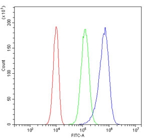 Flow cytometry testing of human PC-3 cells with DR5 antibody at 1ug/million cells (blocked with goat sera); Red=cells alone, Green=isotype control, Blue= DR5 antibody.