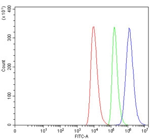 Flow cytometry testing of human HEL cells with Annexin IV antibody at 1ug/million cells (blocked with goat sera); Red=cells alone, Green=isotype control, Blue= Annexin IV antibody.
