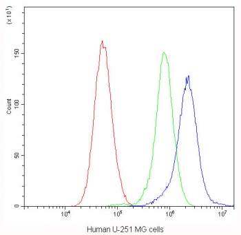 Flow cytometry testing of human U-251 MG cells with CHRNA5 antibody at 1ug/10^6 cells (blocked with goat sera); Red=cells alone, Green=isotype control, Blue=CHRNA5 antibody.