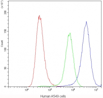 Flow cytometry testing of human A549 cells with CHRNA5 antibody at 1ug/10^6 cells (blocked with goat sera); Red=cells alone, Green=isotype control, Blue=CHRNA5 antibody.