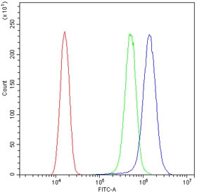 Flow cytometry testing of human SiHa cells with HDAC4 antibody at 1ug/10^6 cells (blocked with goat sera); Red=cells alone, Green=isotype control, Blue= HDAC4 antibody.