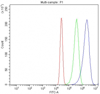 Flow cytometry testing of fixed and permeabilized human K562 cells with Hemoglobin antibody at 1ug/million cells (blocked with goat sera); Red=cells alone, Green=isotype control, Blue= Hemoglobin antibody.
