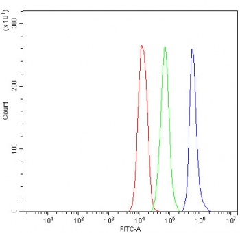 Bcl-XL Antibody FACS. Flow cytometry analysis of fixed and permeabilized human Jurkat cells using Bcl-XL Antibody / Anti-Apoptotic Protein Antibody demonstrates a pronounced rightward shift of the antibody-stained population (blue) relative to both the isotype control (green) and unstained cells (red), consistent with intracellular expression of Bcl-XL. Bcl-XL, encoded by the BCL2L1 gene, is a key anti-apoptotic member of the BCL2 protein family that promotes cellular survival by inhibiting mitochondrial apoptosis pathways and suppressing activation of pro-apoptotic signaling proteins. The observed staining pattern supports detection of Bcl-XL expression in Jurkat cells by flow cytometry. Cells were fixed, permeabilized, and stained with Bcl-XL antibody at 1 ug/million cells following blocking with goat sera. Red = cells alone, Green = isotype control, Blue = Bcl-XL antibody.