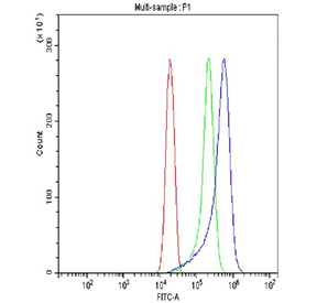 Flow cytometry testing of fixed and permeabilized human ThP-1 cells with GAS6 antibody at 1ug/million cells (blocked with goat sera); Red=cells alone, Green=isotype control, Blue= GAS6 antibody.