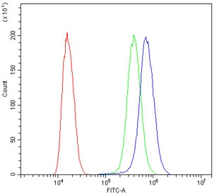 Flow cytometry testing of human SiHa cells with TMEM107 antibody at 1ug/10^6 cells (blocked with goat sera); Red=cells alone, Green=isotype control, Blue= TMEM107 antibody.