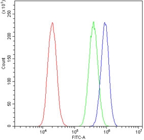 Flow cytometry testing of human A549 cells with NANOG antibody at 1ug/million cells (blocked with goat sera); Red=cells alone, Green=isotype control, Blue= NANOG antibody.