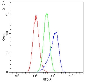 Beta-Catenin Antibody A549 Cell FACS. Flow cytometry analysis of human A549 cells using Beta-Catenin antibody shows a clear rightward shift of the blue population relative to both the red cells-only control and the green isotype control, indicating specific detection of CTNNB1 / Catenin beta-1 expression. The fluorescence profile supports intracellular localization consistent with beta-catenin distribution in cytoplasmic and membrane-associated pools following fixation and permeabilization. Red represents cells alone, green represents isotype control, and blue represents Beta-Catenin antibody staining.