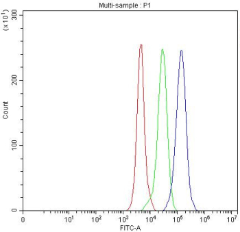 Flt3 Antibody Mouse RAW264.7 FACS. Flow cytometry testing of fixed mouse RAW264.7 cells with Flt3 antibody at 1ug/million cells (blocked with goat sera); Red=cells alone, Green=isotype control, Blue= Flt3 antibody.
