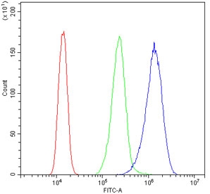 Flow cytometry testing of human A431 cells with RAN antibody at 1ug/10^6 cells (blocked with goat sera); Red=cells alone, Green=isotype control, Blue= RAN antibody.