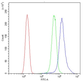 Flow cytometry testing of human SiHa cells with Cdc20 antibody at 1ug/10^6 cells (blocked with goat sera); Red=cells alone, Green=isotype control, Blue= Cdc20 antibody.