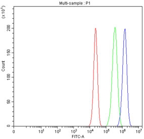 Flow cytometry testing of fixed and permeabilized human A549 cells with PTP1B antibody at 1ug/million cells (blocked with goat sera); Red=cells alone, Green=isotype control, Blue= PTP1B antibody.