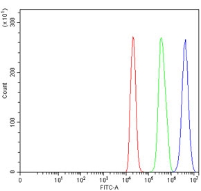 Flow cytometry testing of rat C6 cells with DDX3 antibody at 1ug/million cells (blocked with goat sera); Red=cells alone, Green=isotype control, Blue= DDX3 antibody.