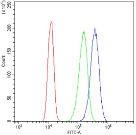 Flow cytometry testing of human A431 cells with Xanthine Oxidase antibody at 1ug/million cells (blocked with goat sera); Red=cells alone, Green=isotype control, Blue= Xanthine Oxidase antibody.