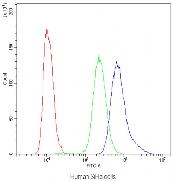 Flow cytometry testing of human SiHa cells with NFATC4 antibody at 1ug/10^6 cells (blocked with goat sera); Red=cells alone, Green=isotype control, Blue=NFATC4 antibody.