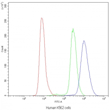 Flow cytometry testing of human K562 cells with NFAT4 antibody at 1ug/10^6 cells (blocked with goat sera); Red=cells alone, Green=isotype control, Blue=NFAT4 antibody.
