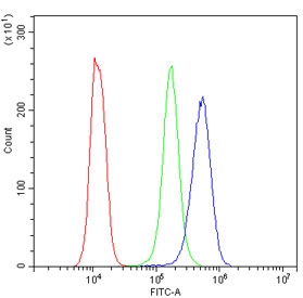 IL15RA Antibody Human K562 Cell FACS. Flow cytometric analysis of human K562 cells using IL15RA Antibody at 1 ug/million cells following blocking with goat serum. A fluorescently labeled secondary antibody was used for detection. IL15RA Antibody, an Immune Cell Activation Receptor Antibody, demonstrates a clear rightward shift in fluorescence intensity compared to the isotype control, indicating specific detection of IL15RA expression on K562 cells.