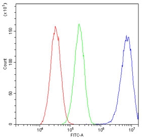 Flow cytometry testing of fixed and permeabilized human HepG2 cells with COPE antibody at 1ug/million cells (blocked with goat sera); Red=cells alone, Green=isotype control, Blue= COPE antibody.