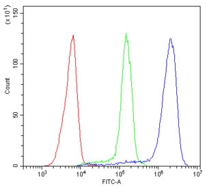 CD44 Antibody Jurkat Cell FACS. Flow cytometry analysis of CD44 / CD44 antigen expression in human Jurkat cells using rabbit polyclonal antibody at 1 ug per 10^6 cells following blocking with goat sera. The CD44 antibody-stained population (blue) demonstrates a pronounced right-shift compared to cells alone (red) and isotype control (green), indicating strong cell surface expression of CD44. The clear separation between populations supports its use for identifying, gating, and quantifying CD44-positive T cell populations in flow cytometry assays.