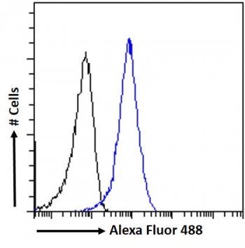 FACS testing of fixed and permeabilized human MCF7 cells with Pericentrin 1 antibody (blue) at 10ug/ml and naive goat Ig (black).
