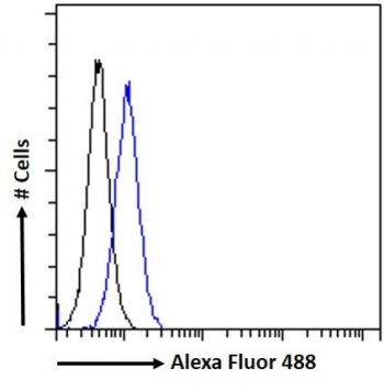 FACS testing of fixed and permeabilized human HepG2 cells with AKT3 antibody (blue) at 10ug/ml and naive goat Ig (black).