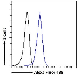 FACS testing of fixed and permeabilized human A431 cells with STAT3 antibody (blue) at 10ug/ml and naive goat Ig (black).