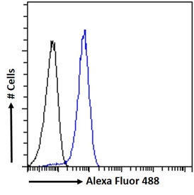 FACS testing of fixed and permeabilized human MCF7 cells with PHLDA2 antibody (blue) at 10ug/ml and naive goat Ig (black).