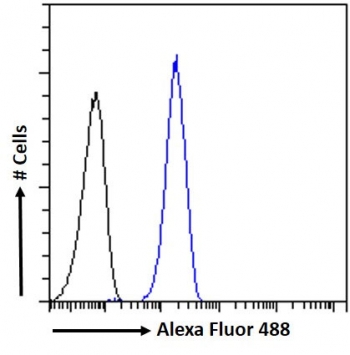 FACS testing of fixed and permeabilized human HeLa cells with TOM1L1 antibody (blue) at 10ug/ml and naive goat Ig (black).