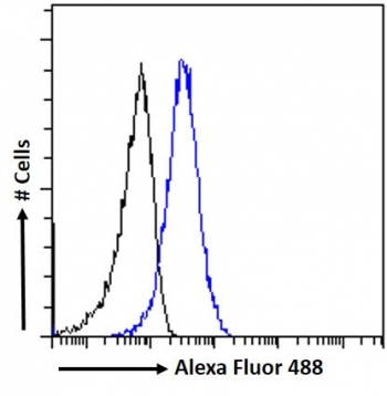 FACS testing of fixed and permeabilized human MCF7 cells with AMHR2 antibody (blue) at 10ug/ml and naive goat Ig (black).