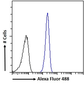 FACS testing of fixed and permeabilized human A431 cells with Proteinase 3 antibody (blue) at 10ug/ml and naive goat Ig (black).