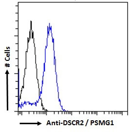 FACS testing of fixed and permeabilized human Jurkat cells with PAC1 antibody (blue) at 10ug/10^6 cells in 0.2ml and naive goat Ig (black).