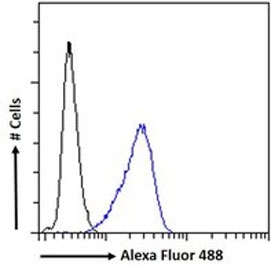 FACS testing of fixed and permeabilized human U-2 OS cells with FXR antibody (blue) at 10ug/10^6 cells in 0.2ml and naive goat Ig (black).