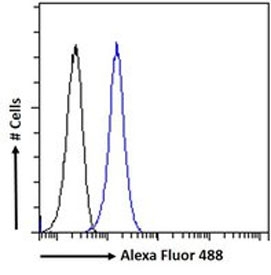 FACS testing of fixed and permeabilized human ThP-1 cells with DC-SIGN antibody (blue) at 10ug/ml and naive goat Ig (black).