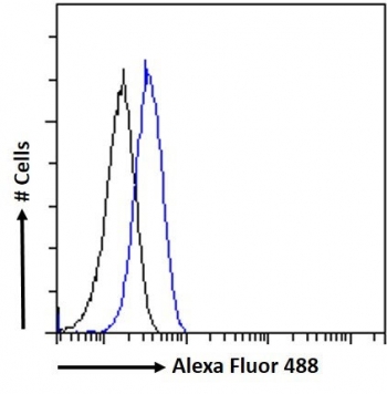 CD32 Antibody K562 FACS. Flow cytometry analysis of fixed and permeabilized human K562 cells stained with CD32 Antibody / Low-Affinity Fc Gamma Receptor (blue) at 10 ug/ml. A clear rightward fluorescence shift is observed relative to the naive goat Ig control (black), consistent with detection of FCGR2 / CD32, an Fc receptor involved in immune complex signaling and leukocyte activation pathways.
