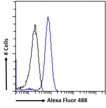 FACS testing of fixed and permeabilized human U937 cells with CD68 antibody (blue) at 10ug/ml and naive goat Ig (black).