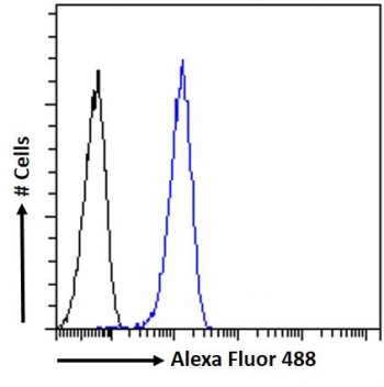 FACS testing of fixed and permeabilized human HEK293 cells with NMNAT3 antibody (blue) at 10ug/ml and naive goat Ig (black).