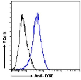 FACS testing of fixed and permeabilized mouse NIH 3T3 cells with LY6E antibody (blue) at 1ug/million cells/0.1ml and naive goat Ig (black).