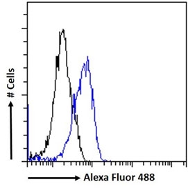 FACS testing of fixed and permeabilized human K562 cells with IFNGR1 antibody (blue) at 10ug/ml and naive goat Ig (black).
